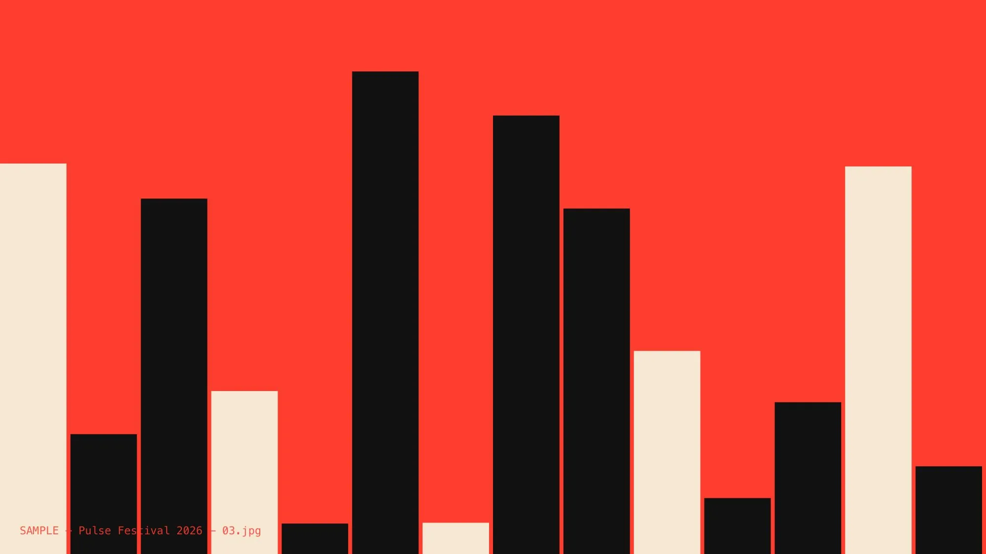 Pulse Festival 2026, image 4